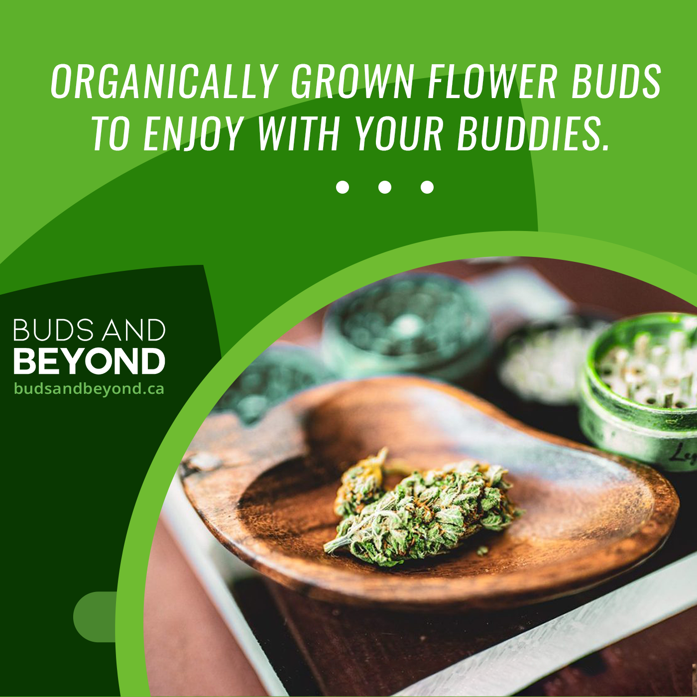 17_Organically-Grown-Flower.png
